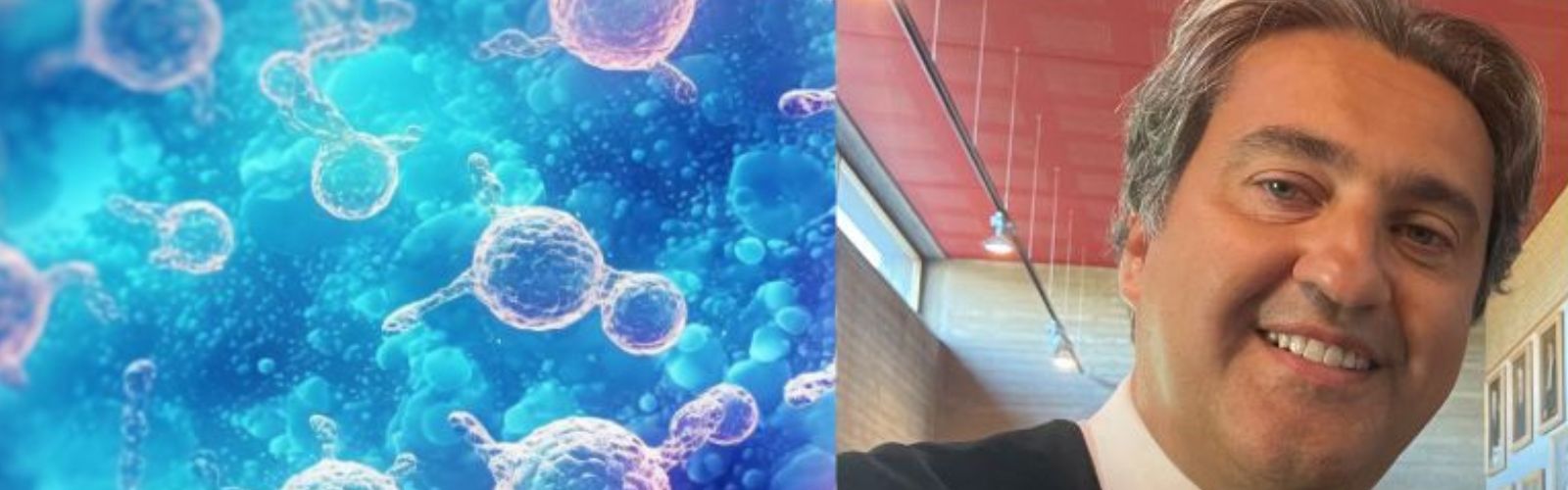 Farmaci biosimilari, la Food and Drug Administration finanzia con 1,5 milioni di dollari progetto dell’università di Verona